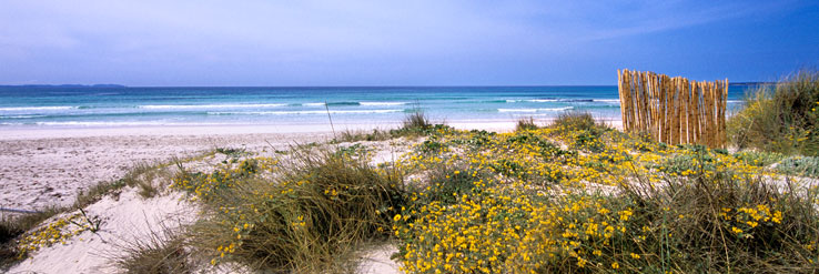 Playa D'Es Trenc Ses Salines Mallorca Spanien